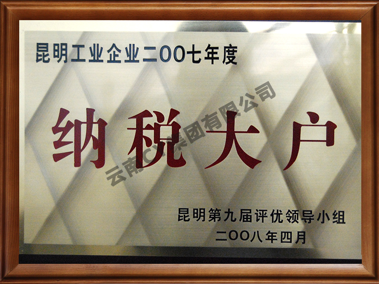 纳税大户
