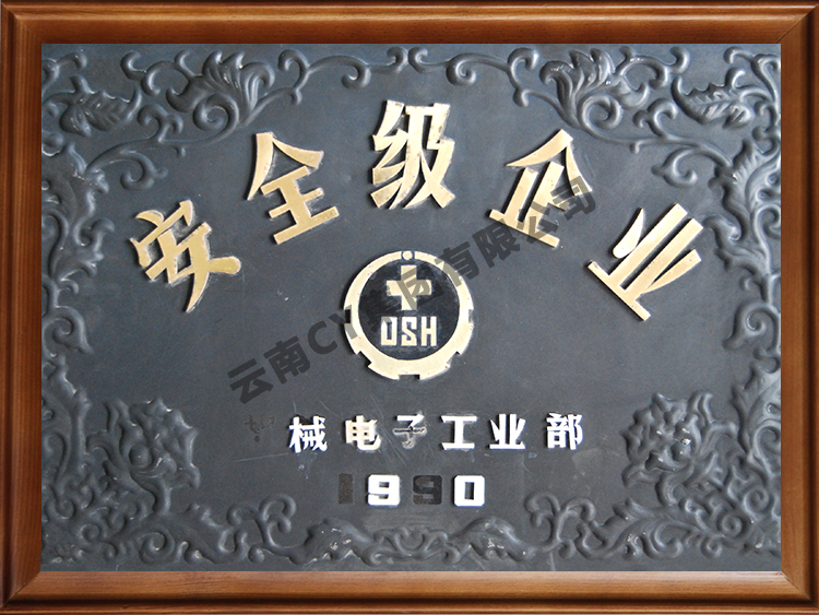 安全级企业